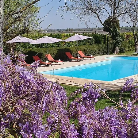 Bed & Breakfast Le Logis D'epargnes And *